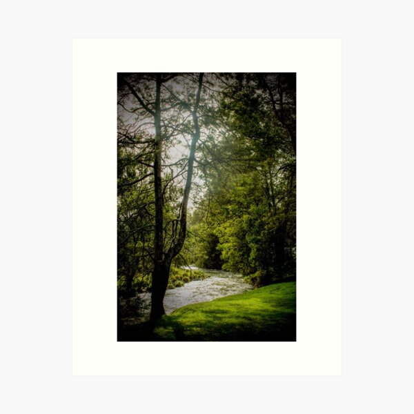 Winding Stream Art Print