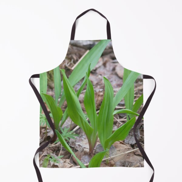 Item preview, Spring Ramps Upper Penninsula Michigan designed and sold by Steven Holt.