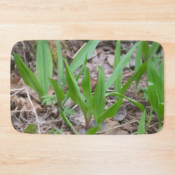 Item preview, Spring Ramps Upper Penninsula Michigan designed and sold by Steven Holt.