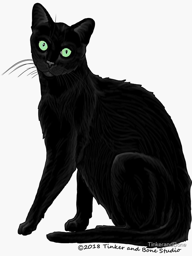 Tinker cheap black cat