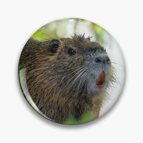 Item preview, Large Nutria in the Evening designed and sold by Pondside-Pics.