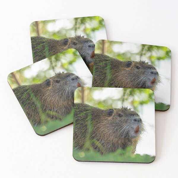 Item preview, Large Nutria in the Evening designed and sold by Pondside-Pics.