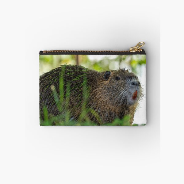 Item preview, Large Nutria in the Evening designed and sold by Pondside-Pics.