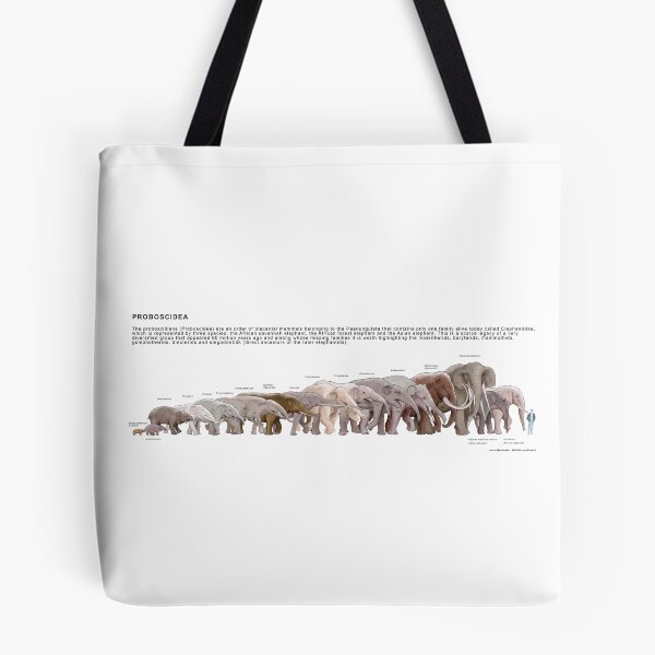 Item preview, Proboscidea designed and sold by BioPicture.