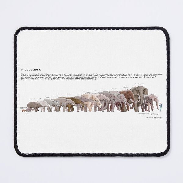 Item preview, Proboscidea designed and sold by BioPicture.