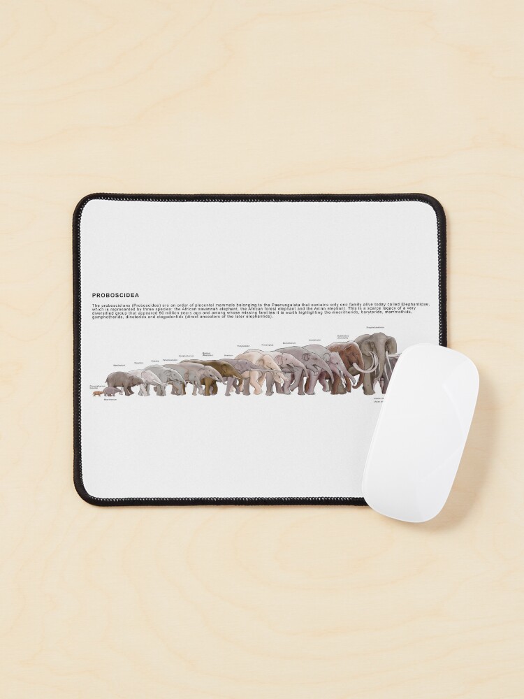 Thumbnail 1 of 5, Mouse Pad, Proboscidea designed and sold by BioPicture.