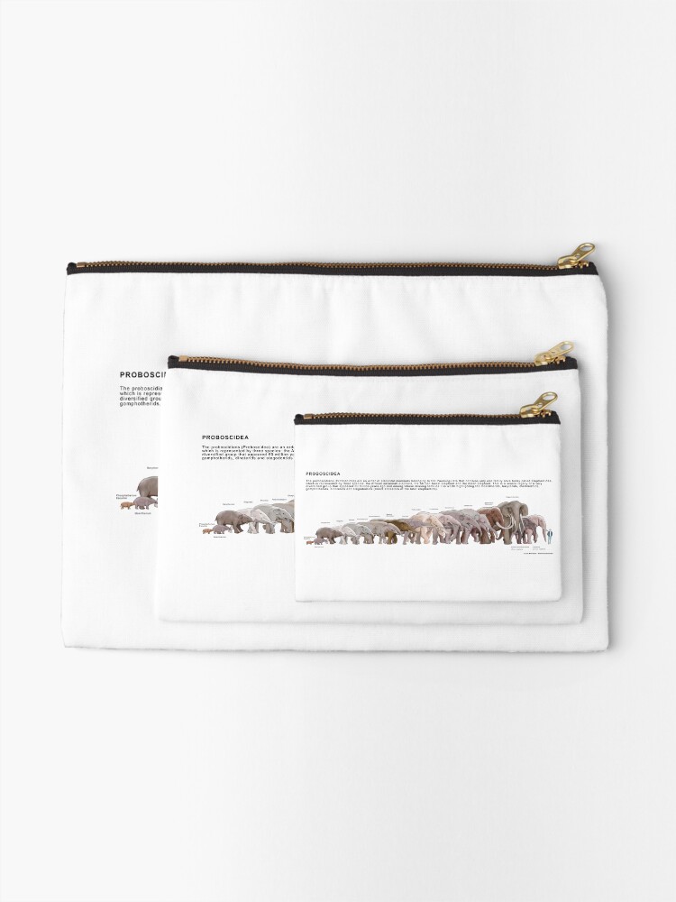 Thumbnail 2 of 4, Zipper Pouch, Proboscidea designed and sold by BioPicture.