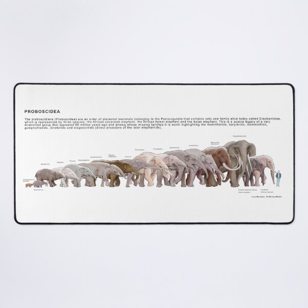 Item preview, Proboscidea designed and sold by BioPicture.