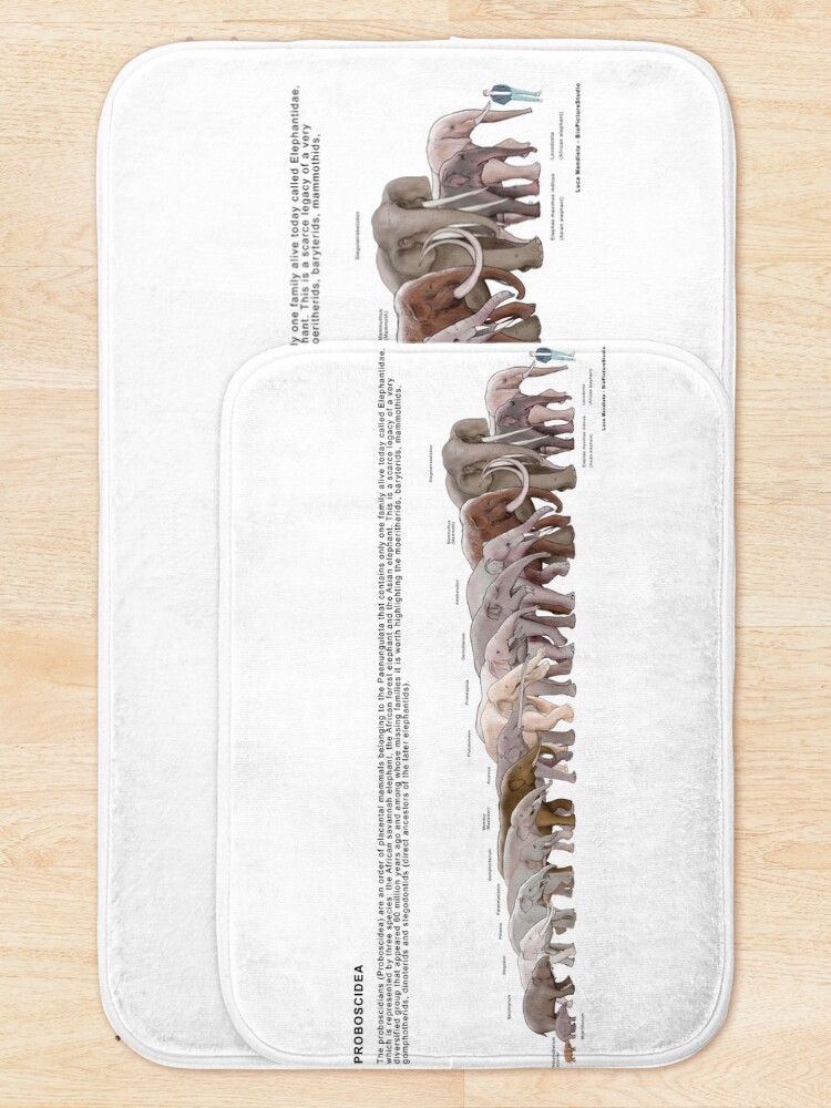 Thumbnail 5 of 6, Bath Mat, Proboscidea designed and sold by BioPicture.