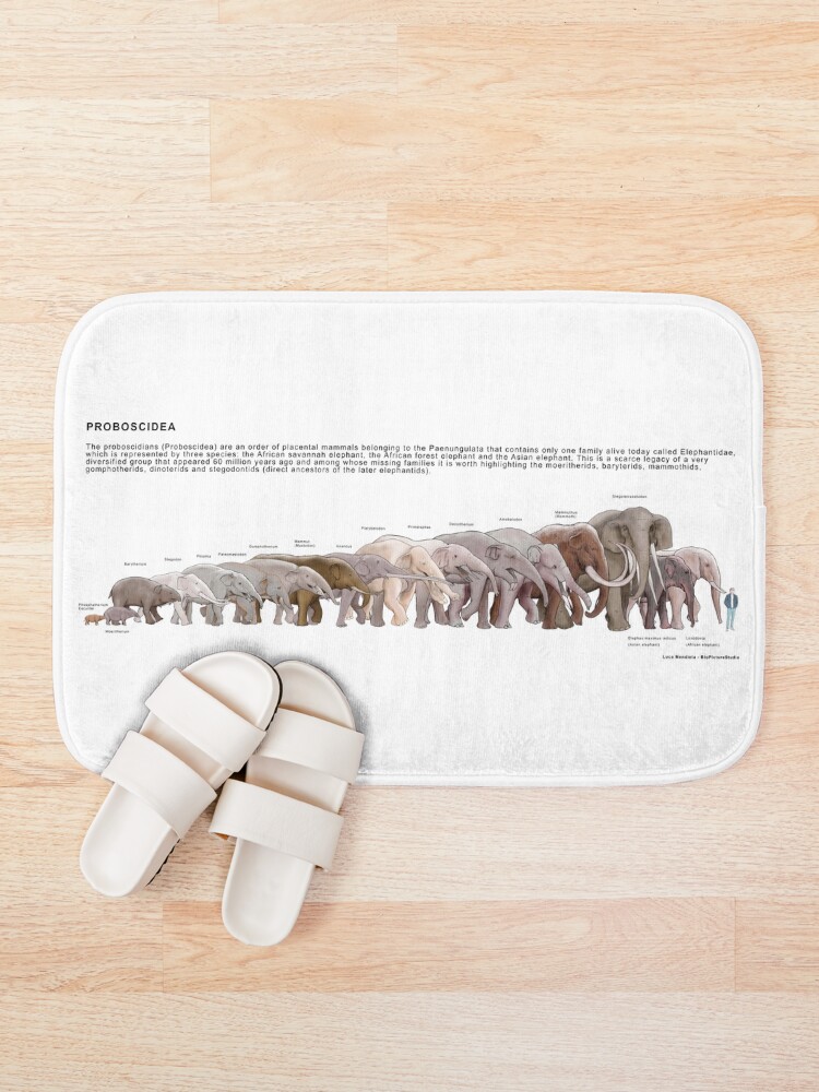 Thumbnail 1 of 6, Bath Mat, Proboscidea designed and sold by BioPicture.