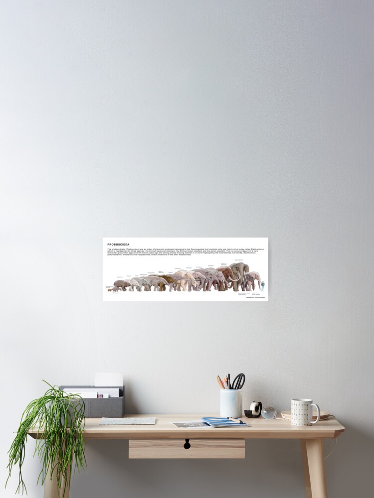 Thumbnail 2 of 3, Poster, Proboscidea designed and sold by BioPicture.