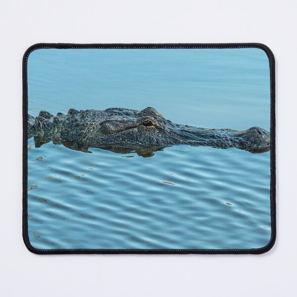 Item preview, Head of a Large American Alligator in the Water designed and sold by Pondside-Pics.