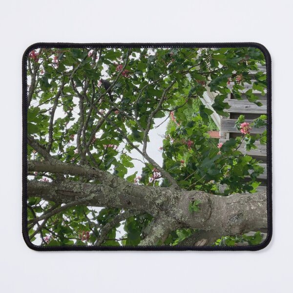 Item preview, Bird in Tree designed and sold by Amanda1775.