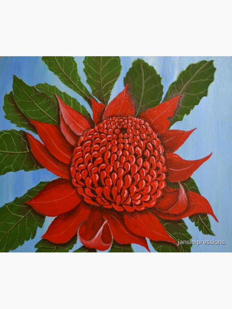 "Waratah" Poster for Sale by jansimpressions Redbubble