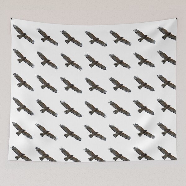 Item preview, Red-Shouldered Hawk Soaring and Calling designed and sold by Pondside-Pics.
