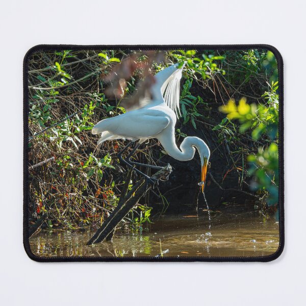 Item preview, Great Egret With a Fish It Caught designed and sold by Pondside-Pics.