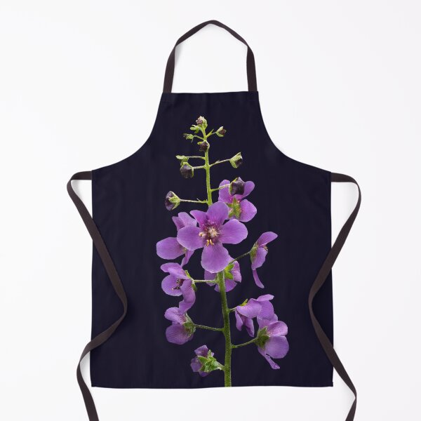 Item preview, Violet Ascent — Purple Verbascum, Dark Botanical Photograph designed and sold by Susarellis.