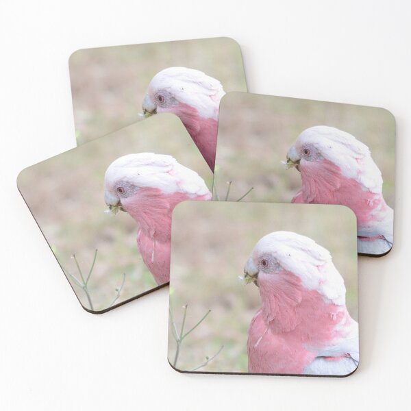 Artikelvorschau, Galah entworfen und verkauft von photosbymia.