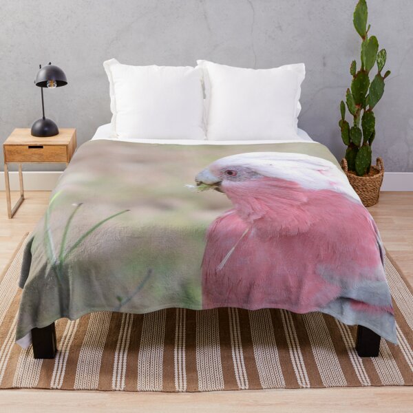 Artikelvorschau, Galah entworfen und verkauft von photosbymia.