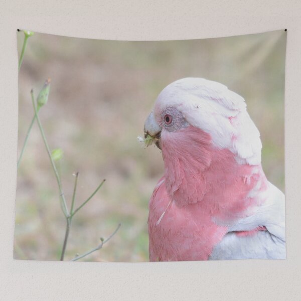 Item preview, Galah designed and sold by photosbymia.