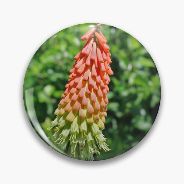 Item preview, Torch Lily designed and sold by McFleur's Lens.