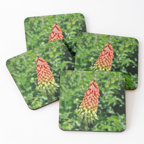Item preview, Torch Lily designed and sold by McFleur's Lens.