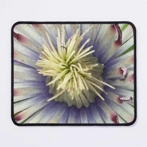 Item preview, Purple Haze designed and sold by SNAP HAPPY.