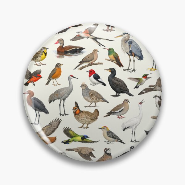 Item preview, Native Birds of Texas State Ornithology Chart designed and sold by kakarikihill.