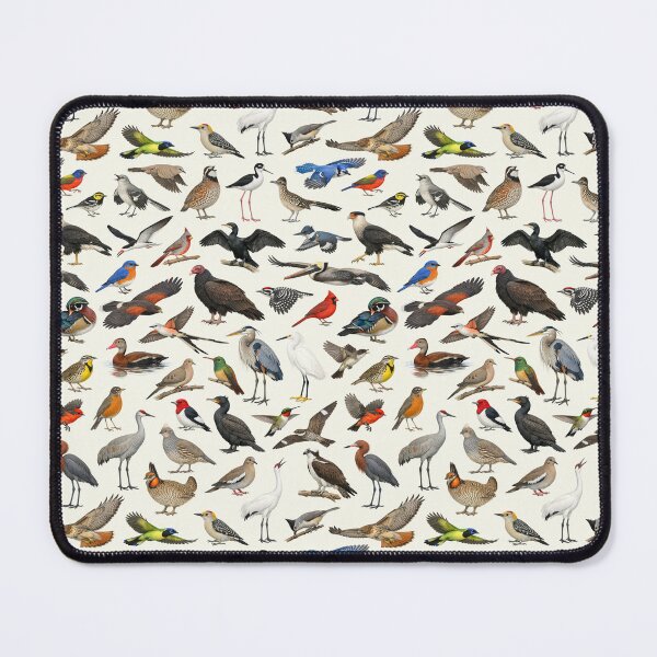 Item preview, Native Birds of Texas State Ornithology Chart designed and sold by kakarikihill.
