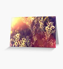 Painting with light. Greeting Card