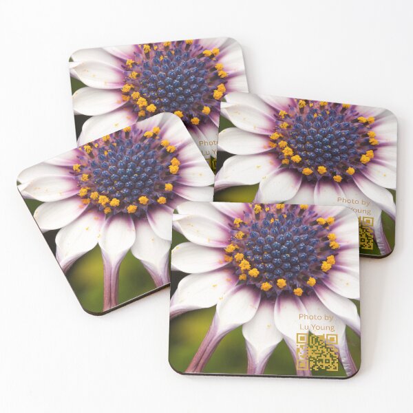 Item preview, Unfurling Cape Marguerite designed and sold by Photo_Lu_Global_Imagery.