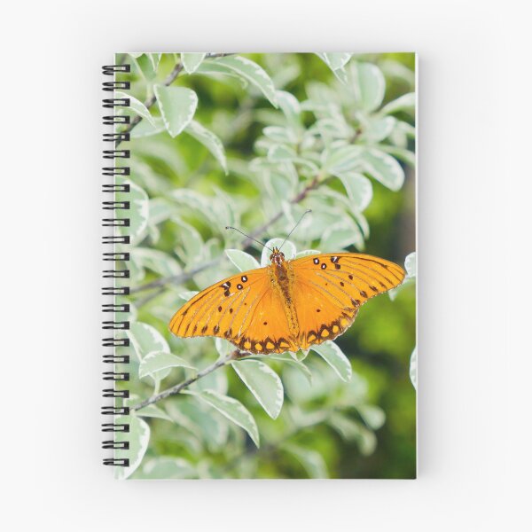 Item preview, Vibrant Orange Butterfly Macro Nature Photography designed and sold by sky earth human.