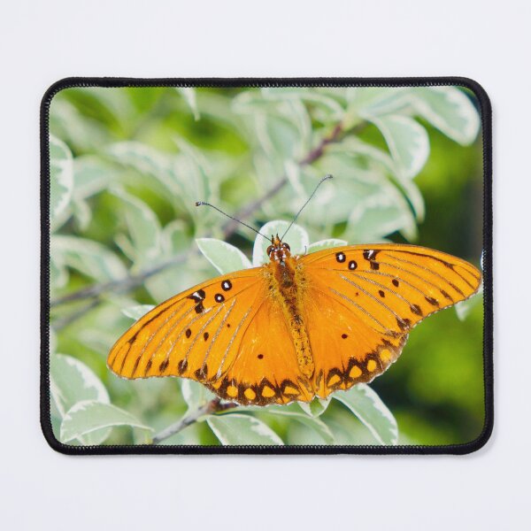 Item preview, Vibrant Orange Butterfly Macro Nature Photography designed and sold by sky earth human.