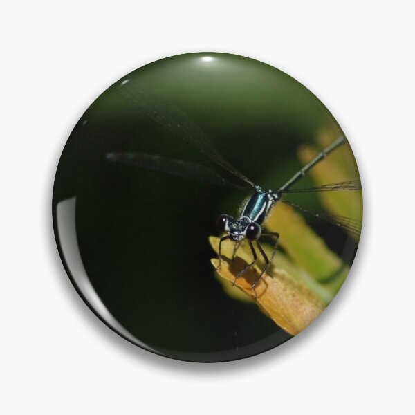 Item preview, Damselflies in the Undergrowth designed and sold by photosbymia.