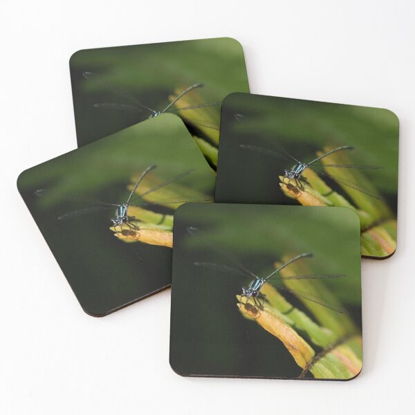 Item preview, Damselflies in the Undergrowth designed and sold by photosbymia.
