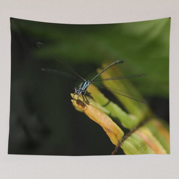 Item preview, Damselflies in the Undergrowth designed and sold by photosbymia.