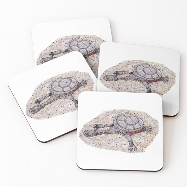 Item preview, Baby long necked turtle designed and sold by Acetry99.