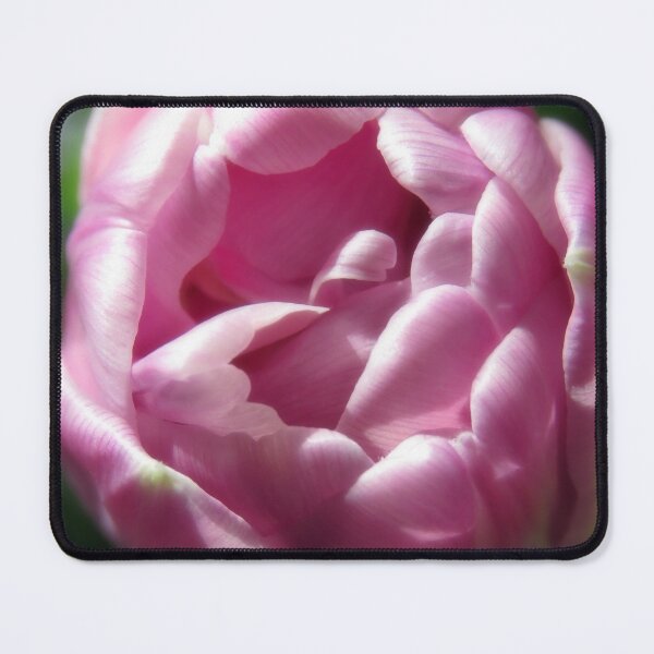 Item preview, A Soft And Beautiful Pink Garden Tulip designed and sold by hurmerinta.