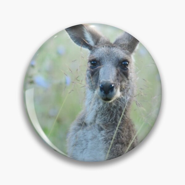 Item preview, Kangaroo amongst the Flowering Weeds designed and sold by photosbymia.