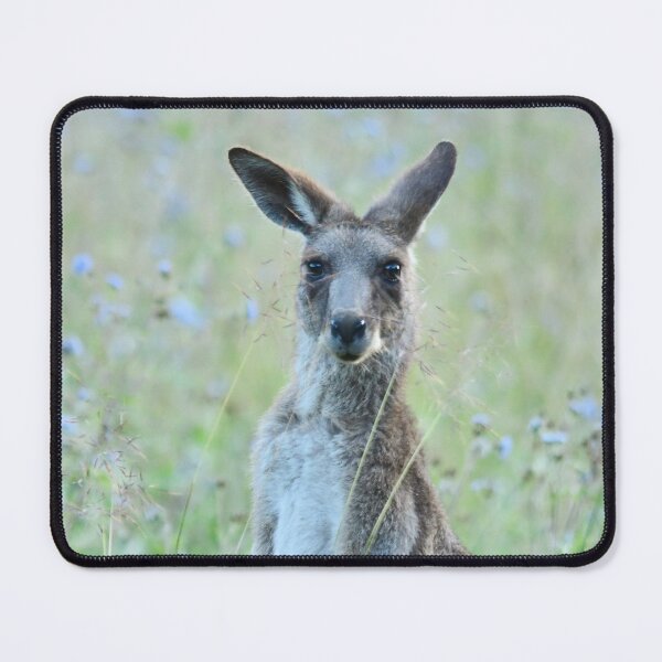 Item preview, Kangaroo amongst the Flowering Weeds designed and sold by photosbymia.