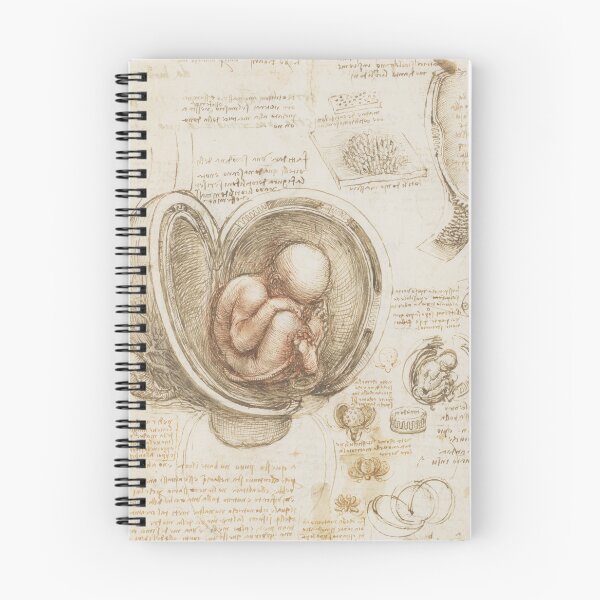 Item preview, Leonardo da Vinci Fetus in the Womb Anatomy Study – Renaissance Anatomical Drawing designed and sold by artofuniverse.