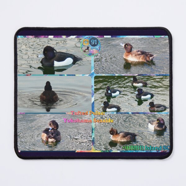 Item preview, The Tufted Fleet: Yokohama Seaside (6-Panel Edition) designed and sold by Plus91BIRD.