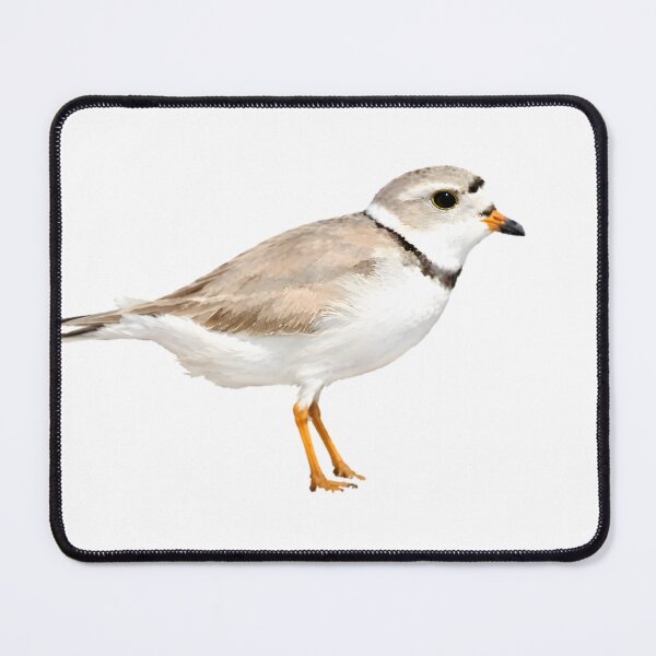 Item preview, Piping Plover designed and sold by HOMETOWN86.