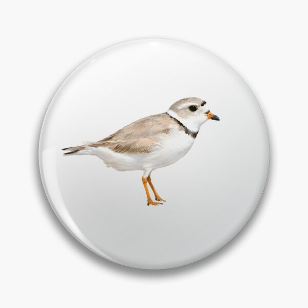 Item preview, Piping Plover designed and sold by HOMETOWN86.