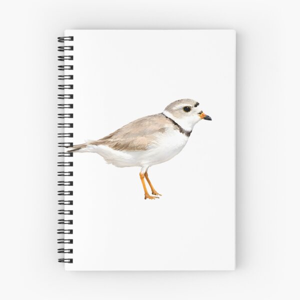 Item preview, Piping Plover designed and sold by HOMETOWN86.