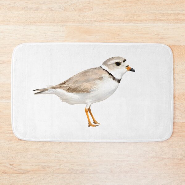 Item preview, Piping Plover designed and sold by HOMETOWN86.
