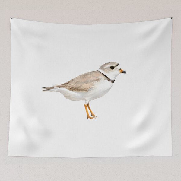 Item preview, Piping Plover designed and sold by HOMETOWN86.