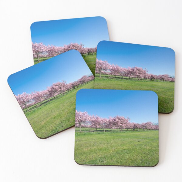 Item preview, The Stray Cherry Blossom Harrogate designed and sold by Alisonchambers2.