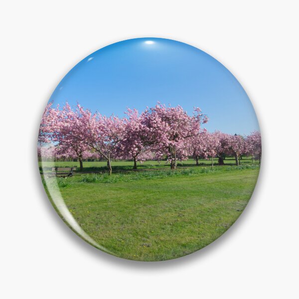 Item preview, The Stray Cherry Blossom Harrogate designed and sold by Alisonchambers2.