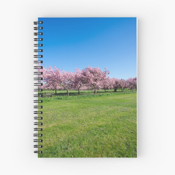 Item preview, The Stray Cherry Blossom Harrogate designed and sold by Alisonchambers2.